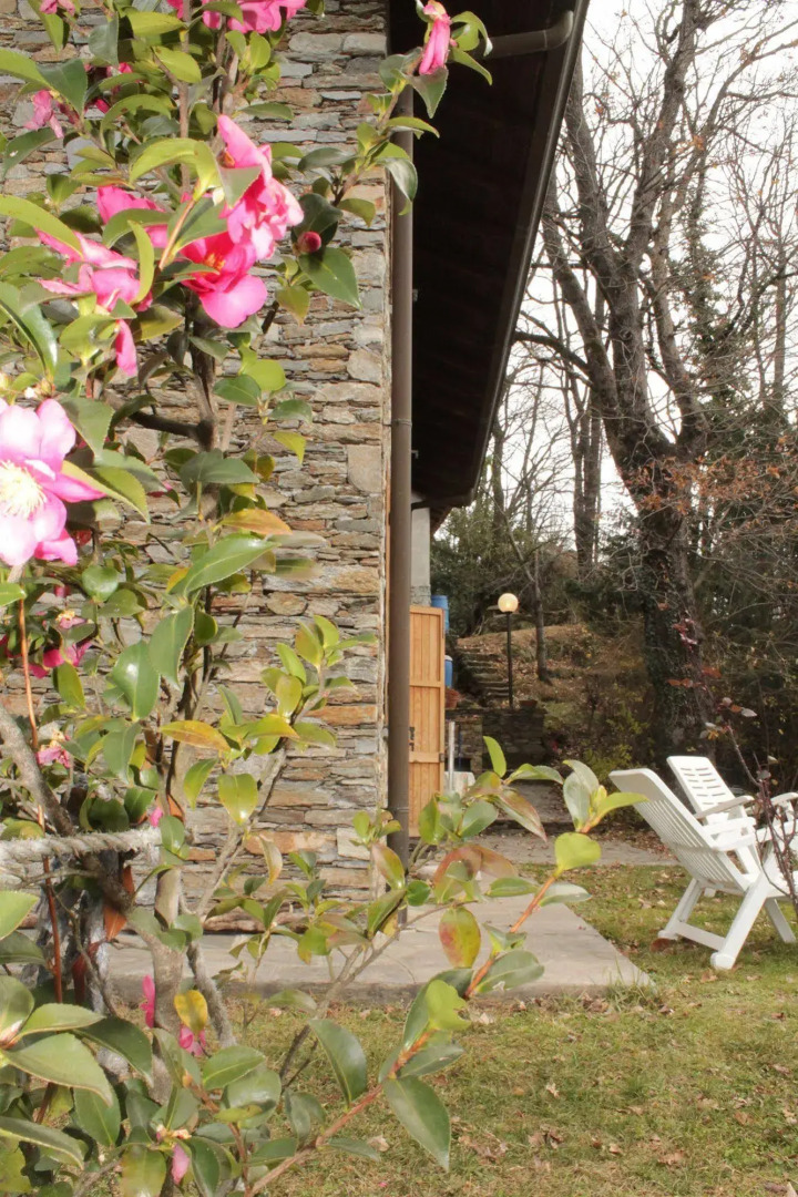 Rustico Grande Terreno