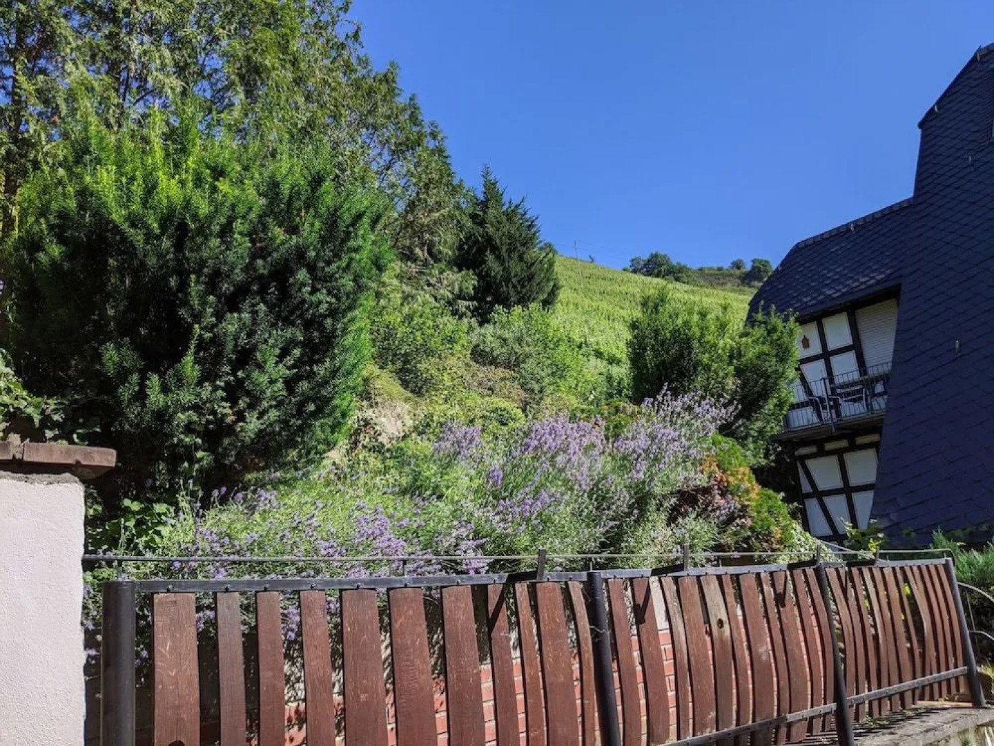 Hotel Pension Winzerhaus