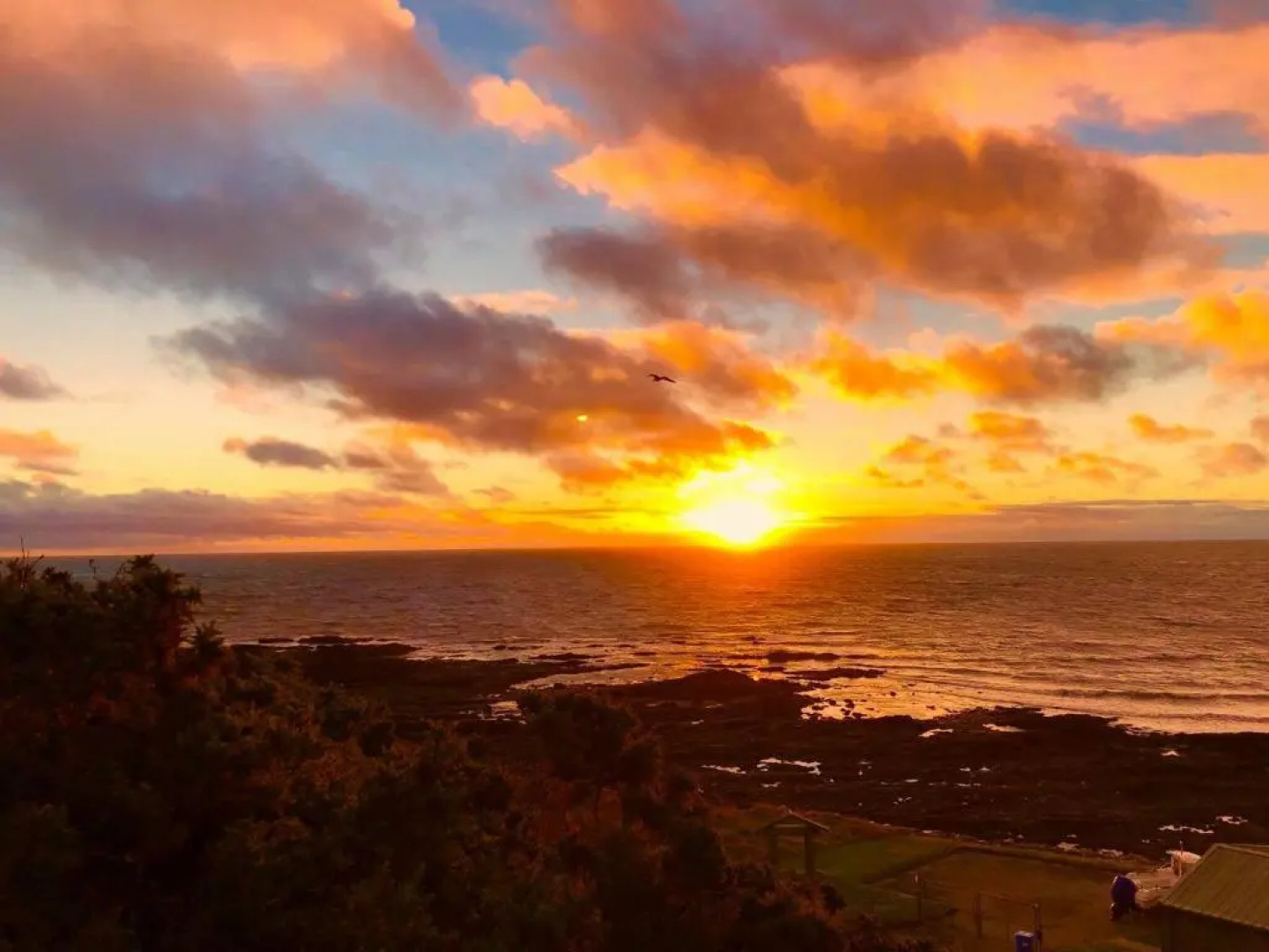 Song of the Sea, Selkie House