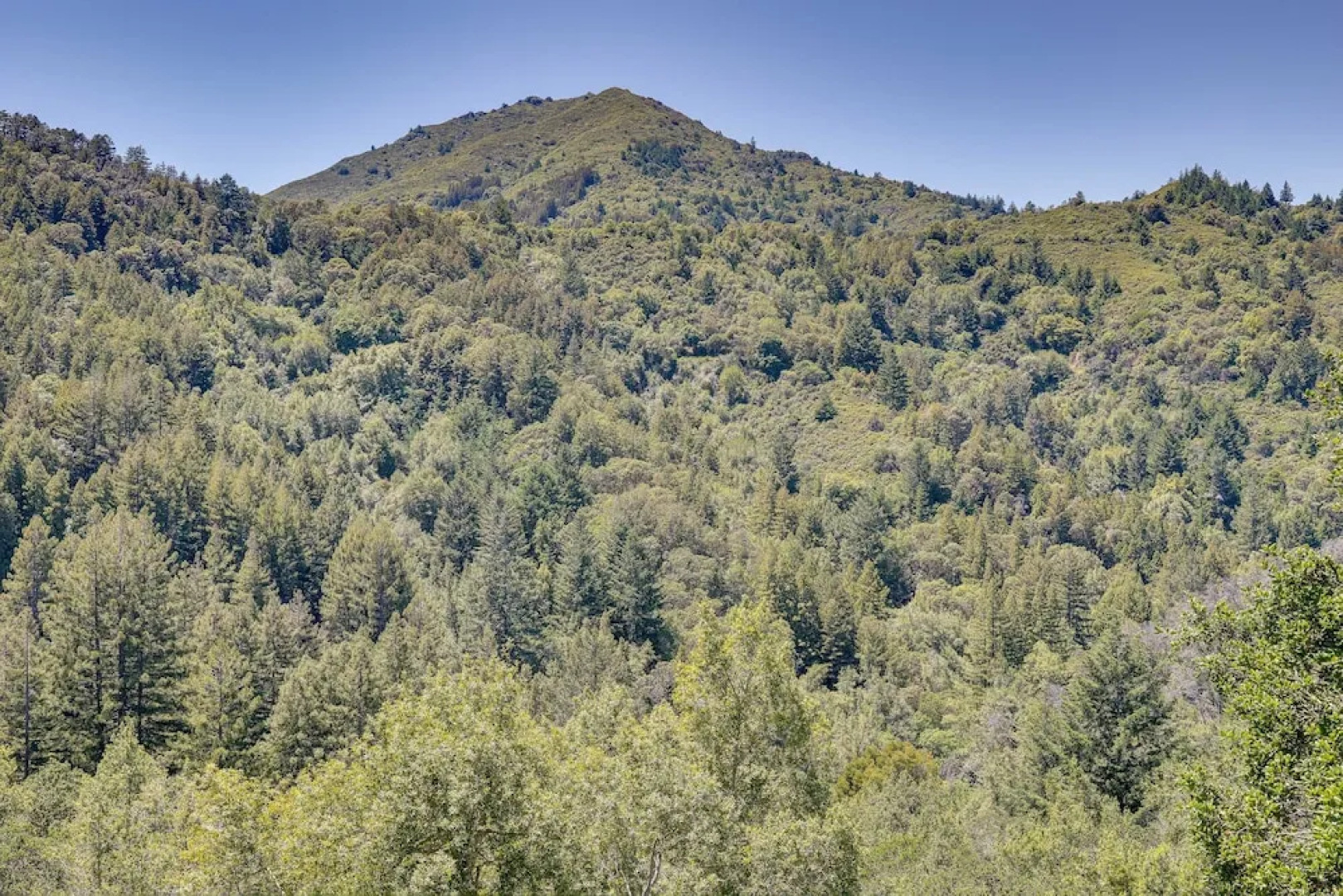 Unique Larkspur Cabin w/ Treetop Mountain Views!