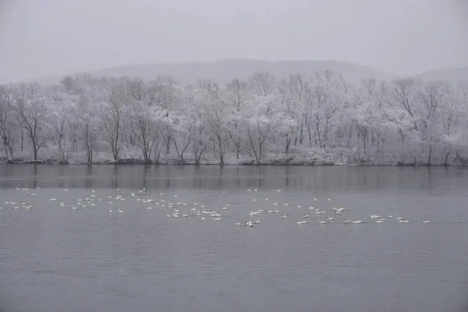 Susquehanna River House