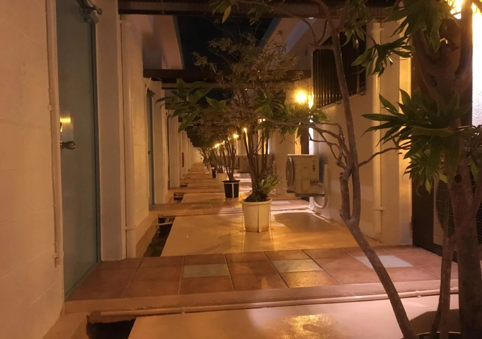 HOTEL Palm Tree Hill