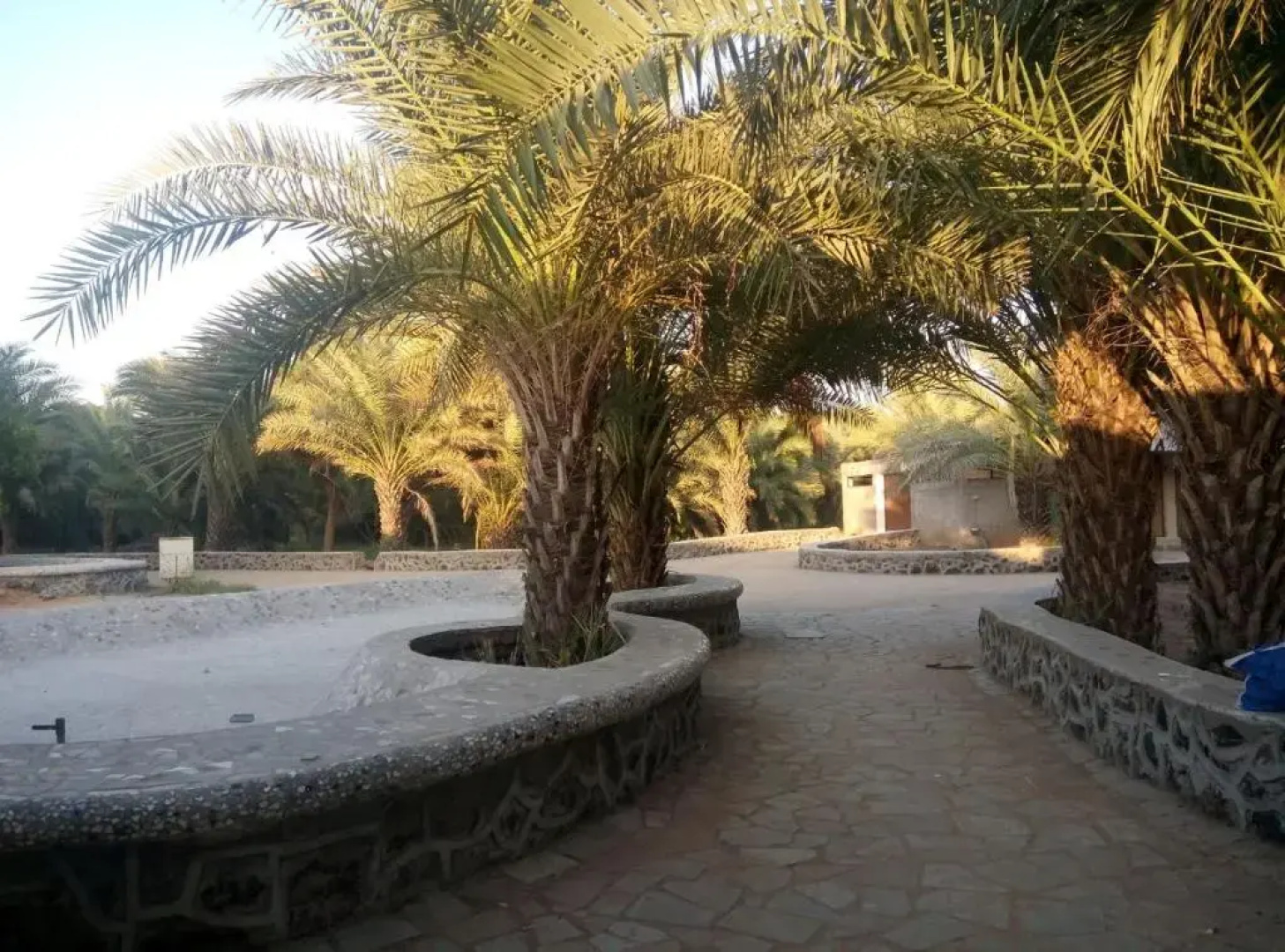Amrut Bagh resort