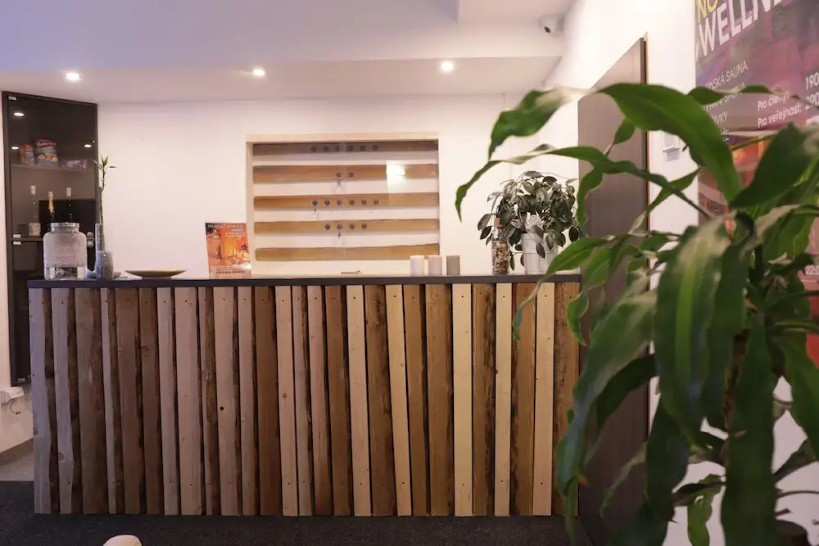 Apartment Pulse Fitness