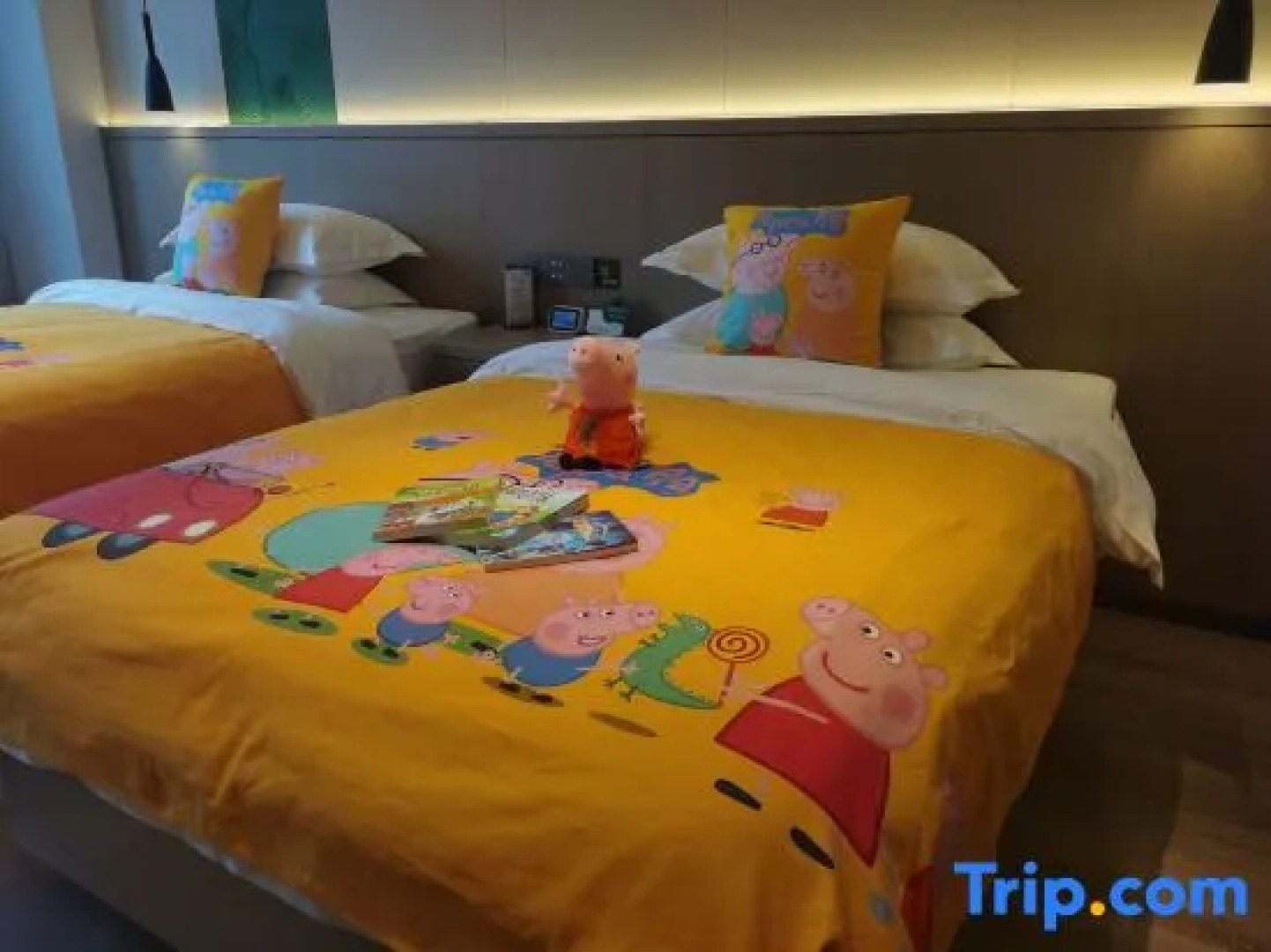 Peak Pai Intelligent Hotel