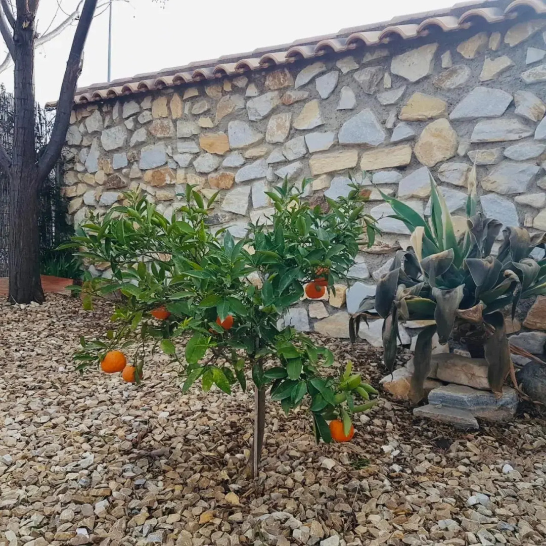 The Loft Cantoria - room with a view