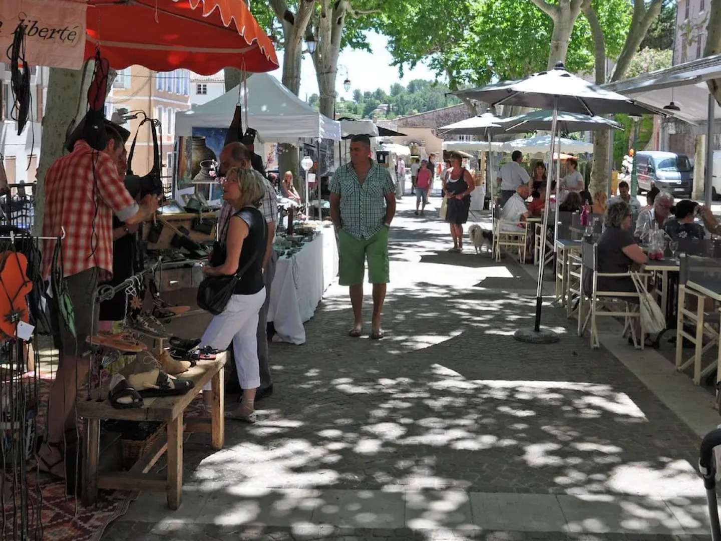 Nice House With Garden, Private Pool, Summer Kitchen and View of Mont Ventoux