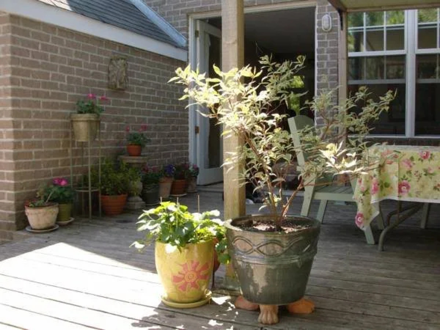 Rosa's Bed & Breakfast