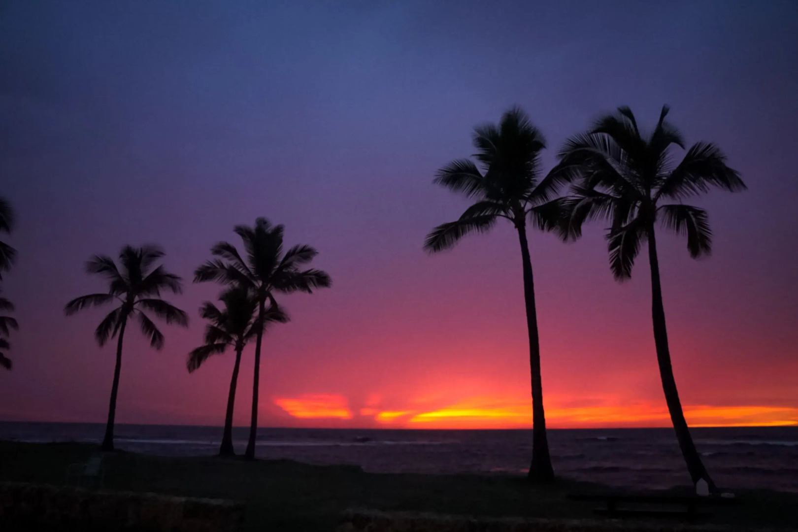 Studio Nene by AvantStay | Chic, Cozy, King Bed