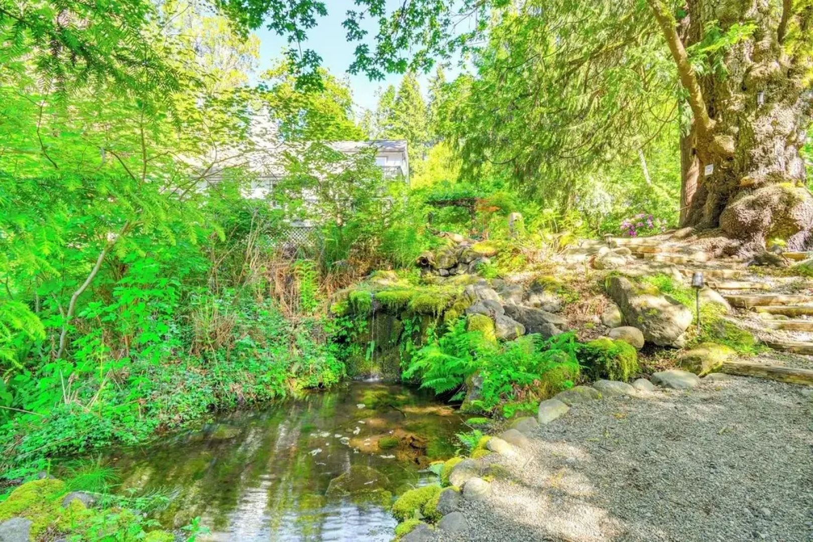 Shelton Gem w/ Kayaks: Private Beach Oyster Hunt
