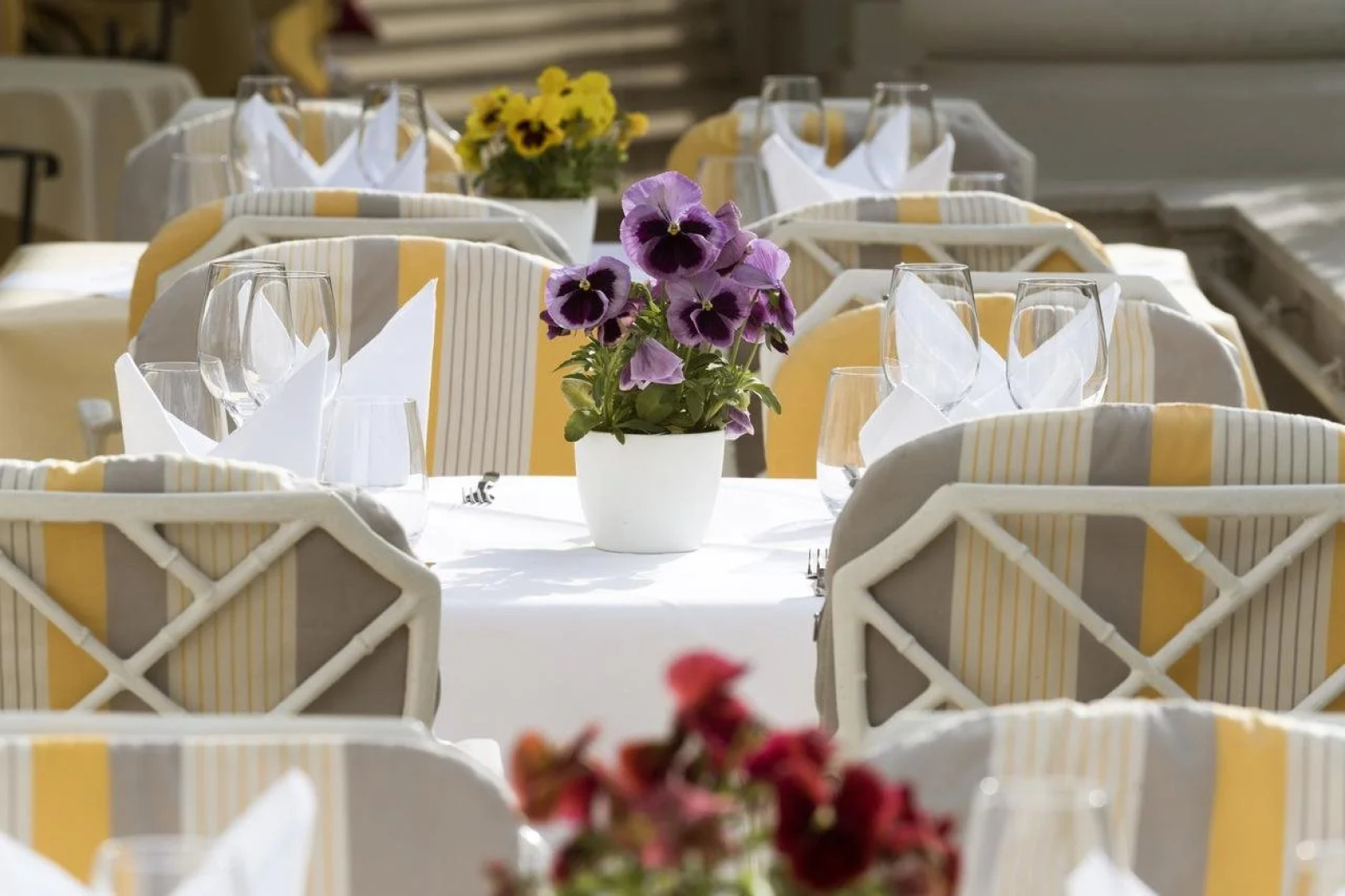 Badischer Hof Baden-Baden - Leonardo Limited Edition