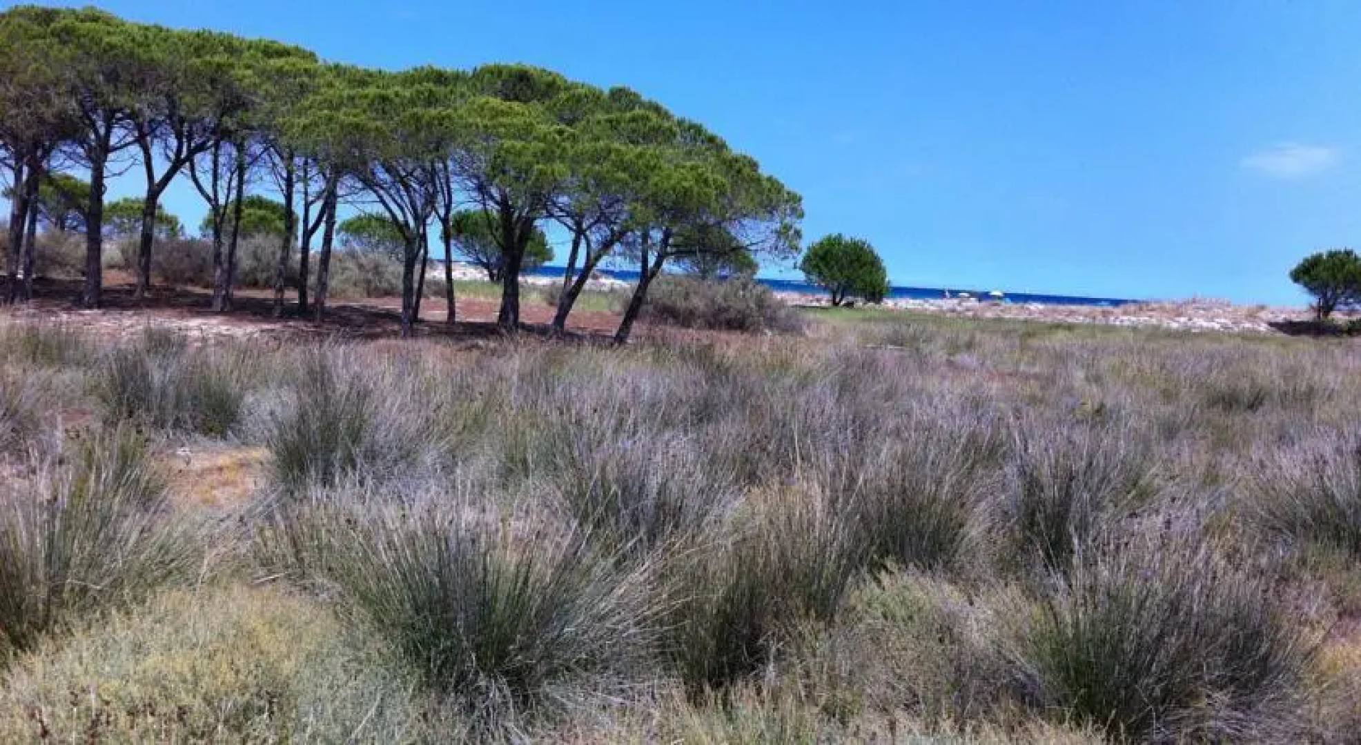 Appartamento La Caletta