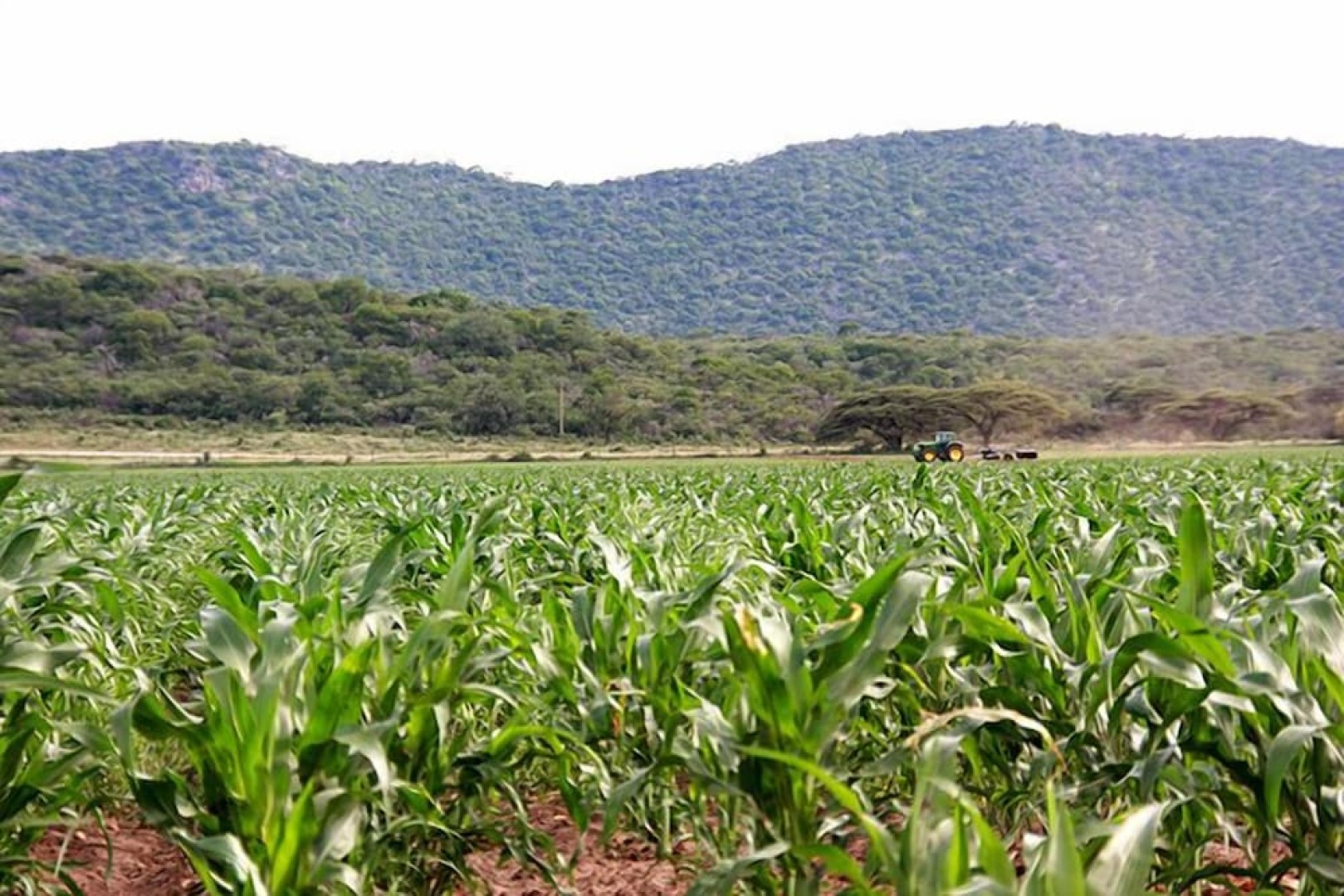 Ghaub Nature Reserve & Farm