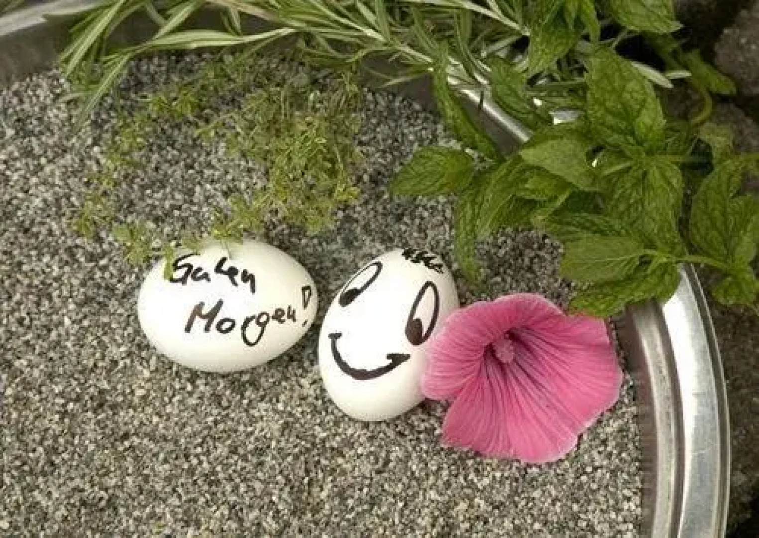 Ringhotel Der Waldkater