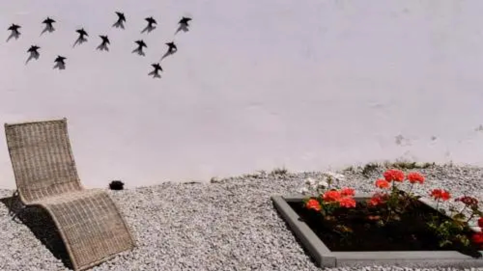 Casa dos Vizinhos - Casas de Taipa