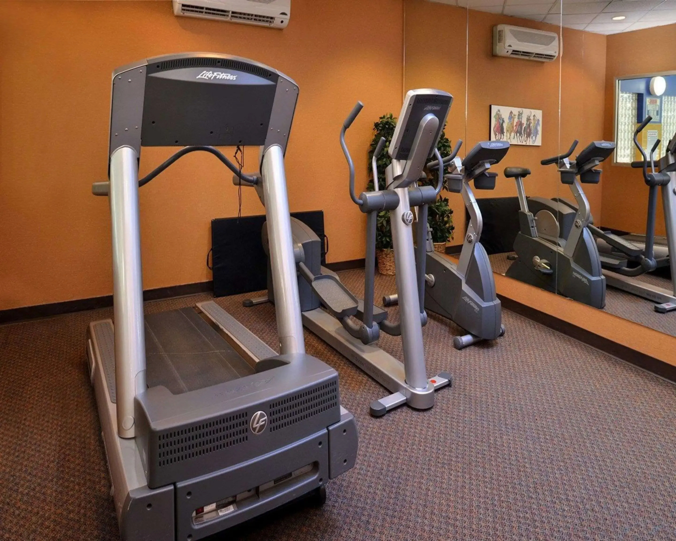 Econo Lodge Inn & Suites University