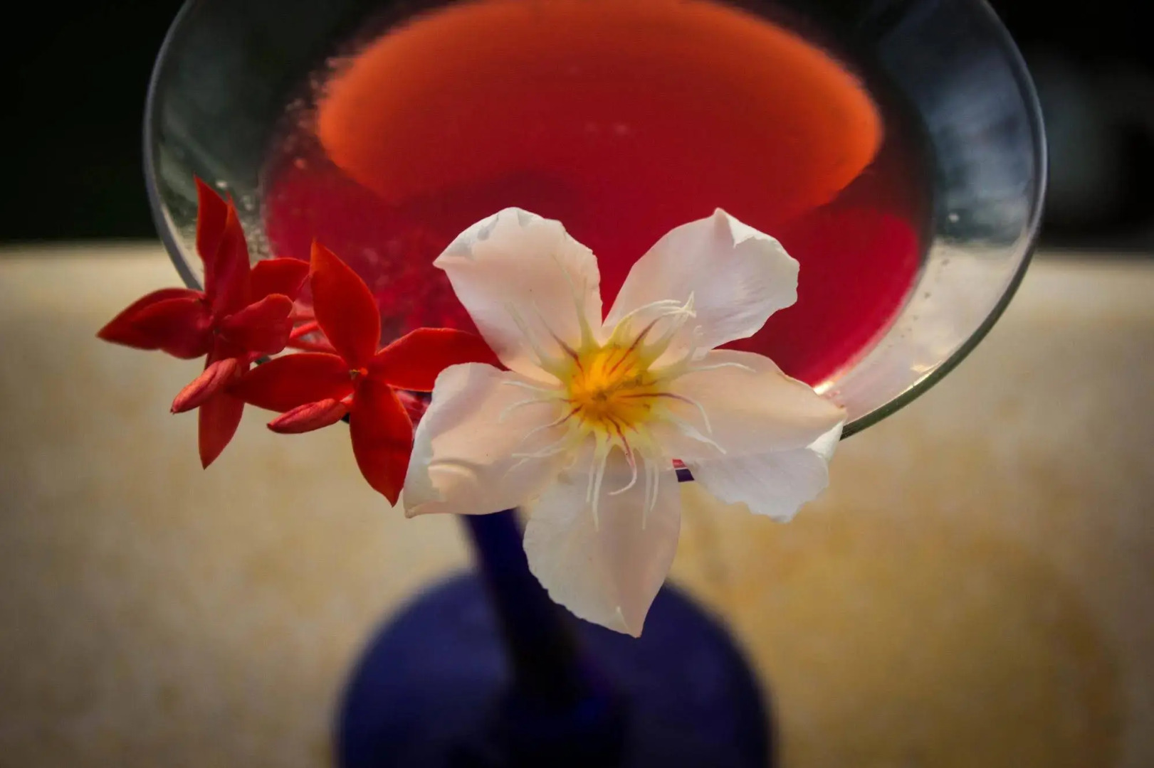 Suites & Hotel Punta Esmeralda