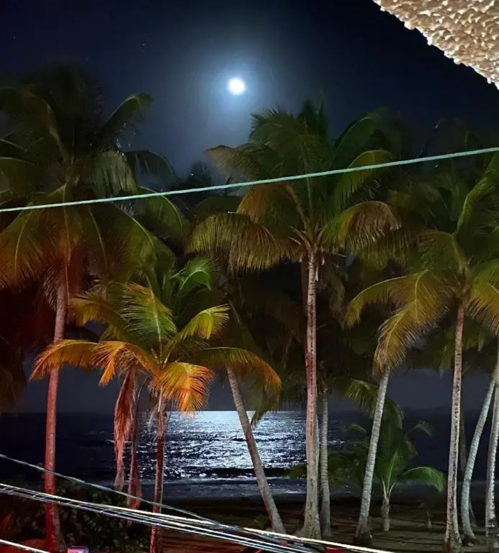 Cozy Beach Apartment