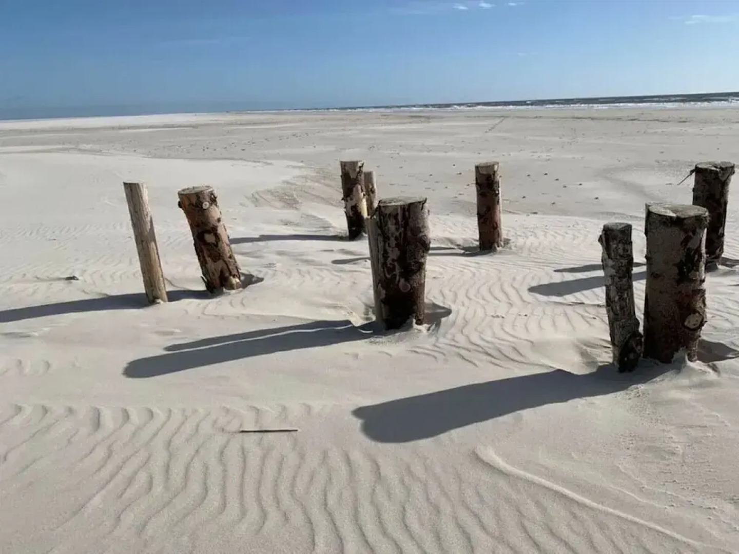 Hasennest Amrum Modern Retreat