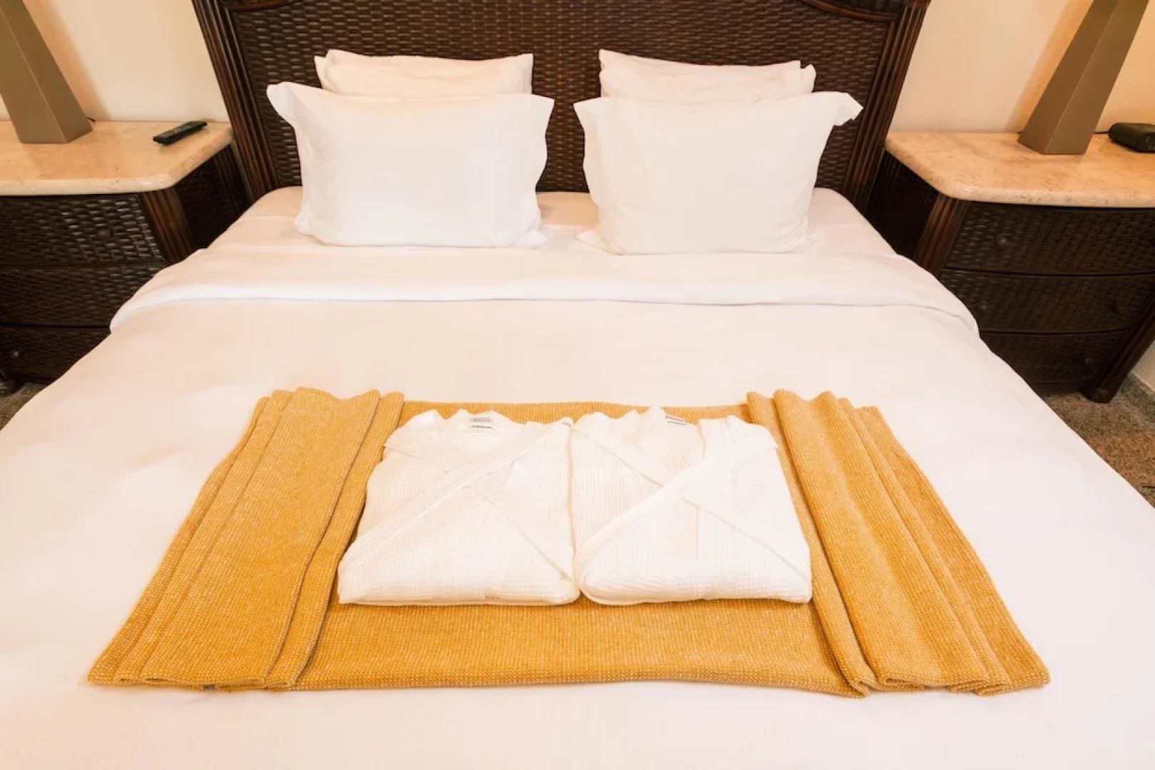 Lawson Rock Parrotfish 206