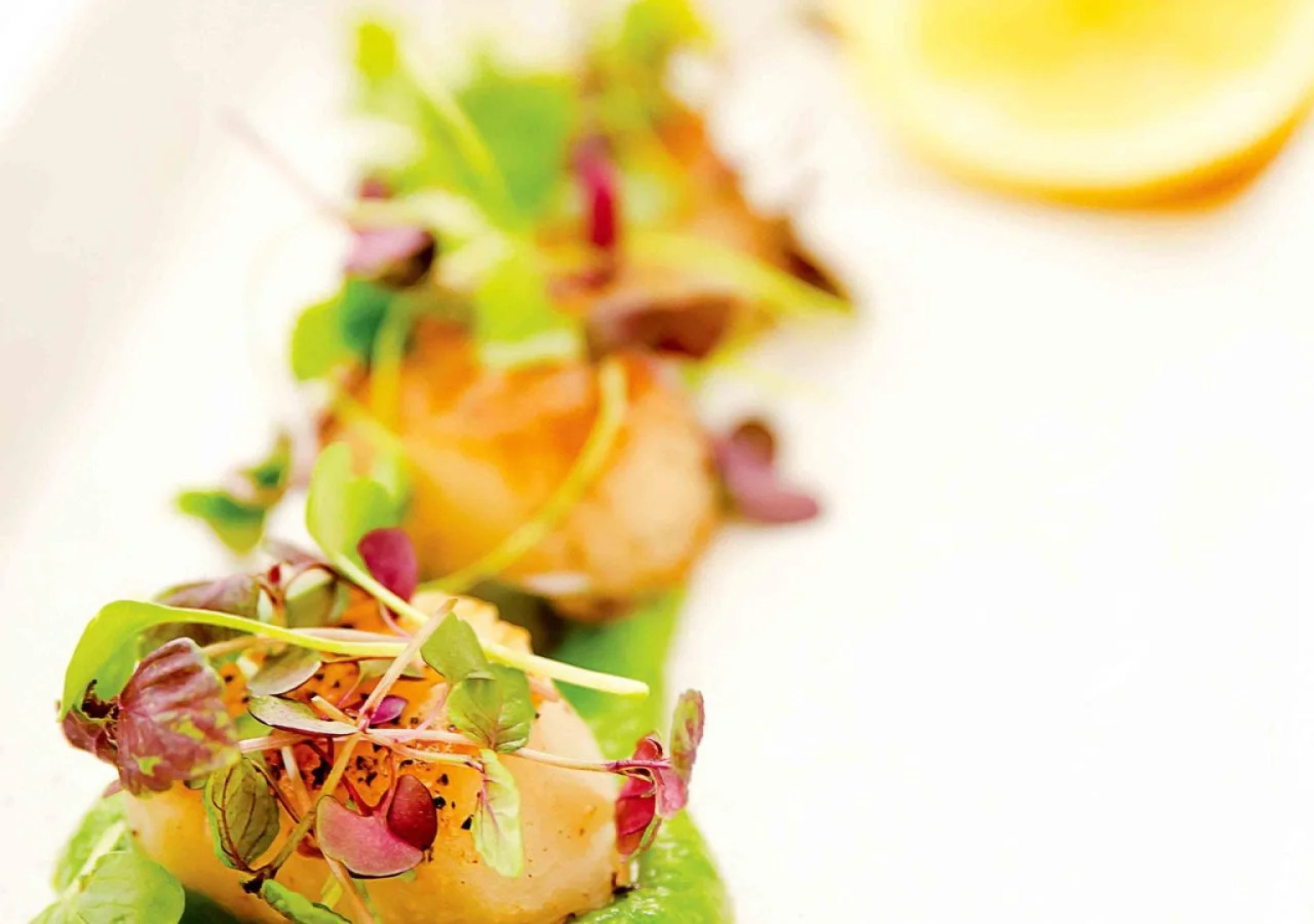 Novotel Wollongong Northbeach