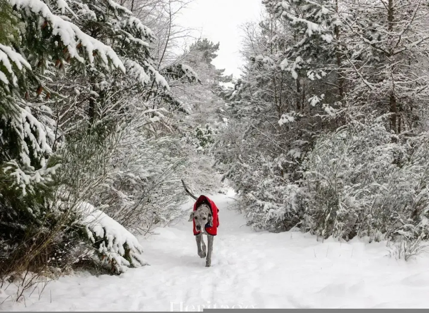 The Stables Cottage Aboyne Royal Deeside