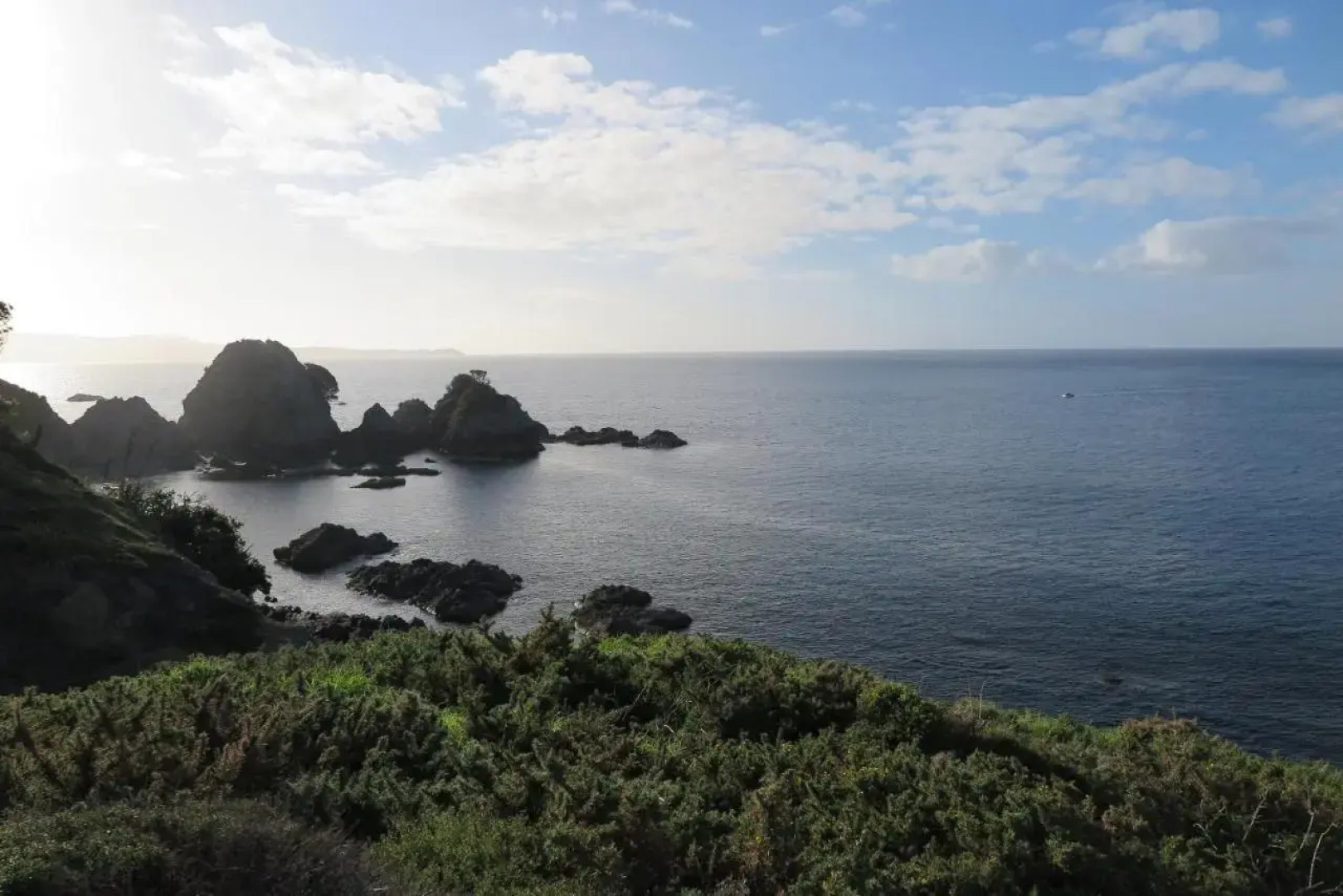 Kakariki Rooms, Kotare House