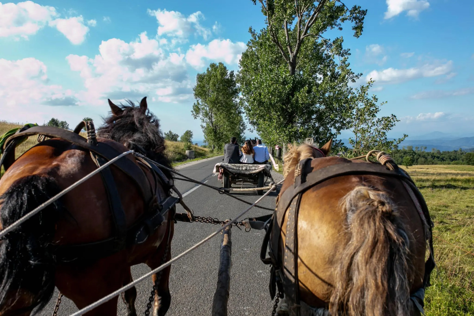 Unique chalet in Maramures, nature, fully equipped