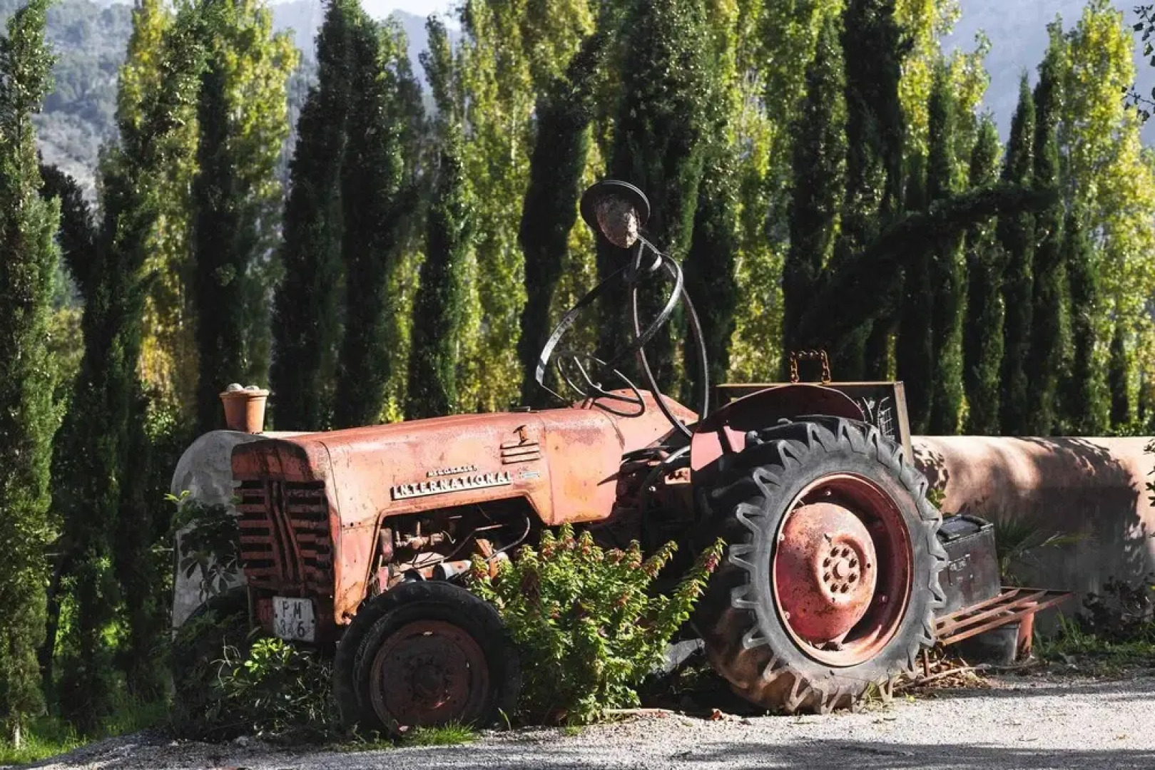 Hotel Finca Ca N'ai - Bio Nature Adults Only