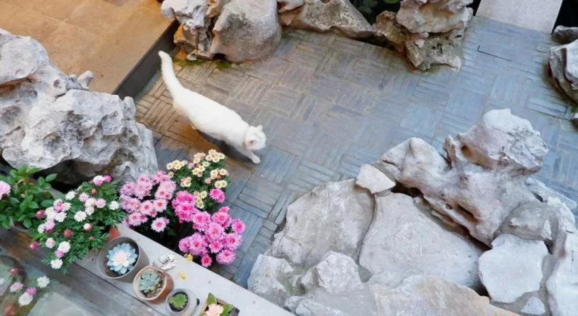 Xiao Yuaner Bed and Breakfast