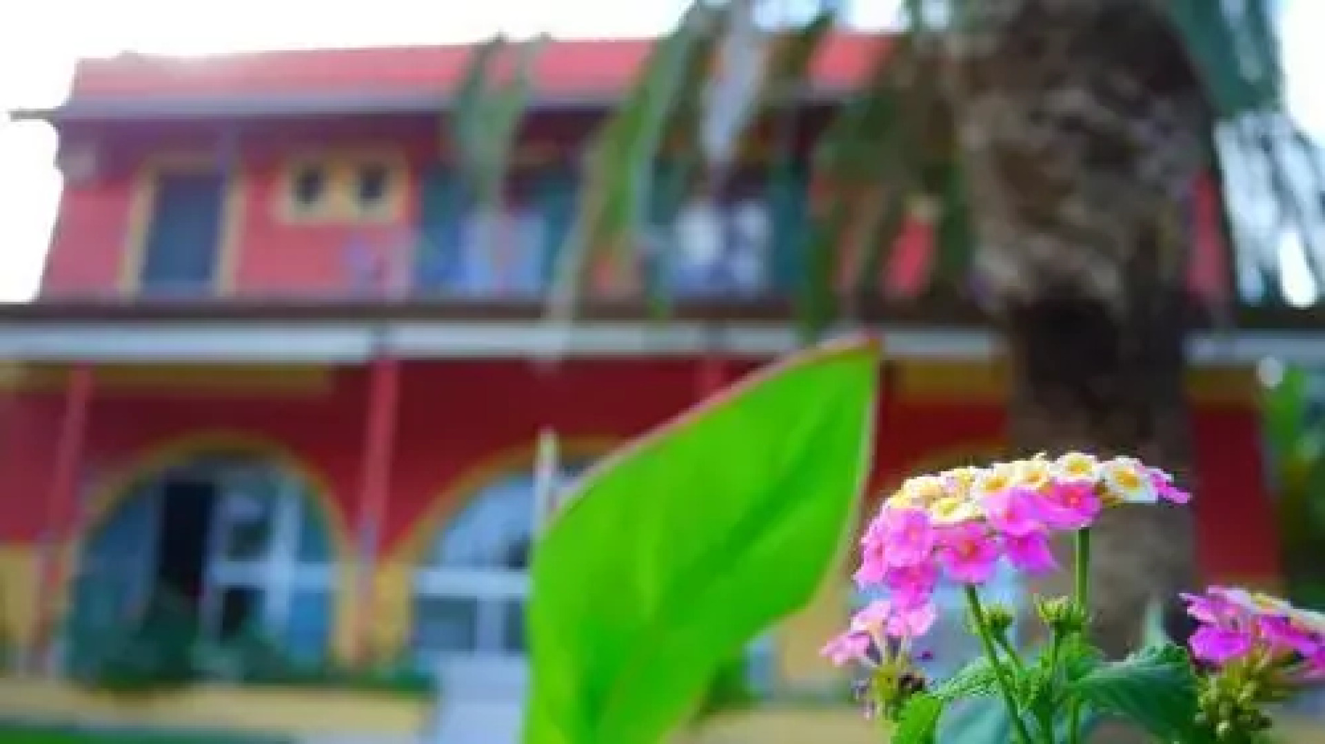 Skyline Rooms & Studios