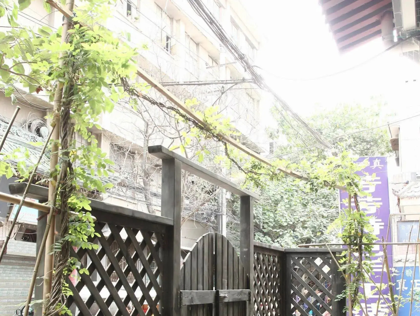 Xian Alley Youth Hostel