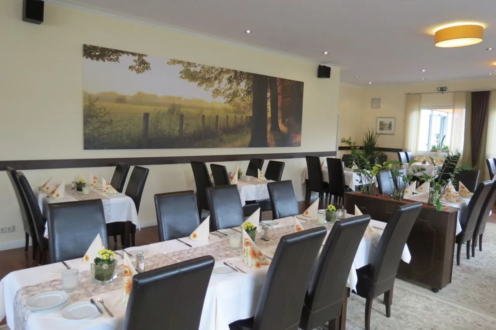 Ringhotel Alfsee Piazza