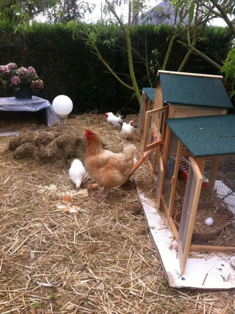 Chambres d'Hotes Les Papillons