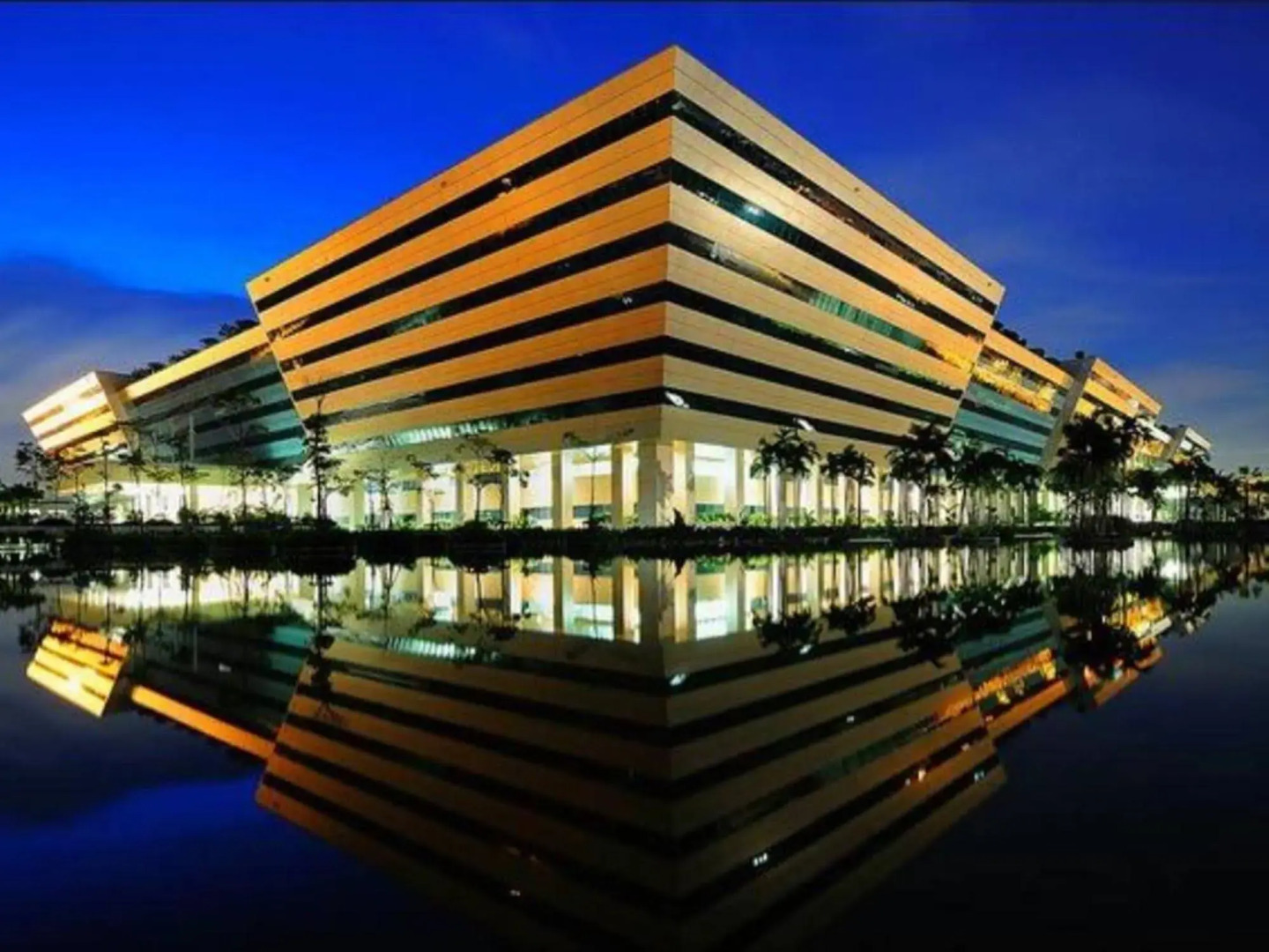 Lotus Condo Downtown