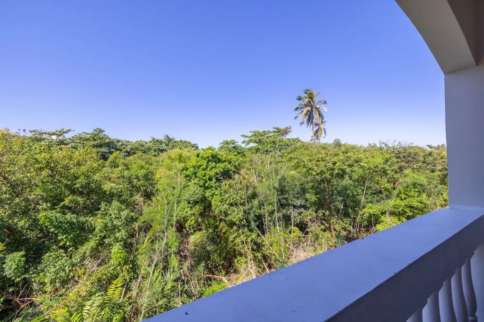 Golden Dream Studio 306 B