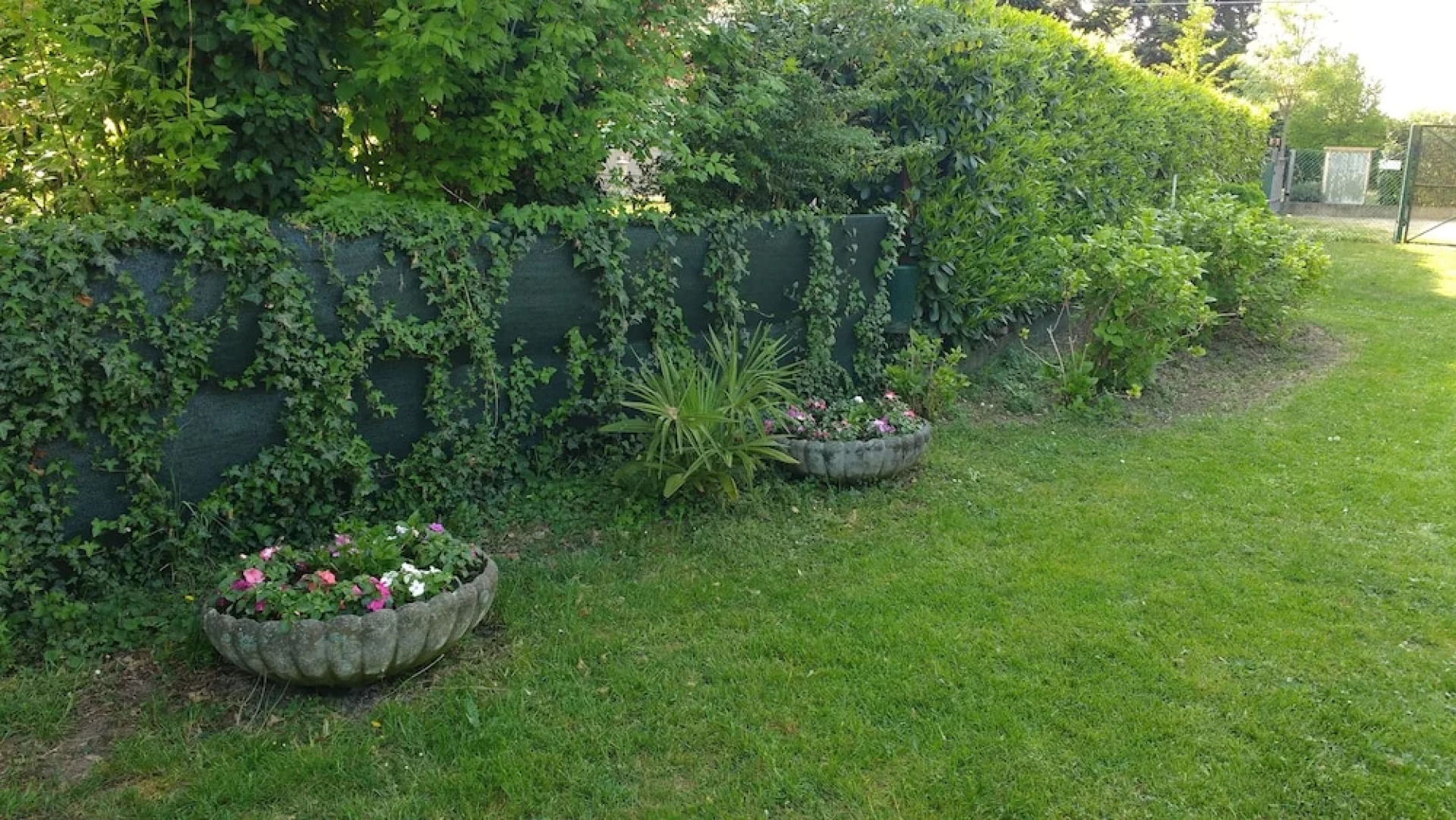 Villa Conti Zambonelli