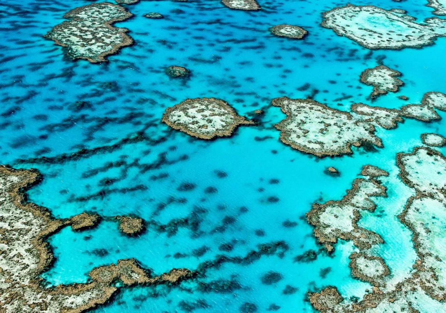 Nautilus Bed and Breakfast