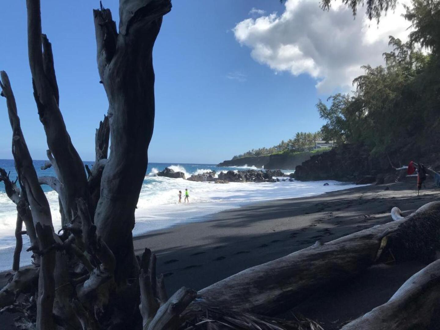 Tropical Zen Bungalow