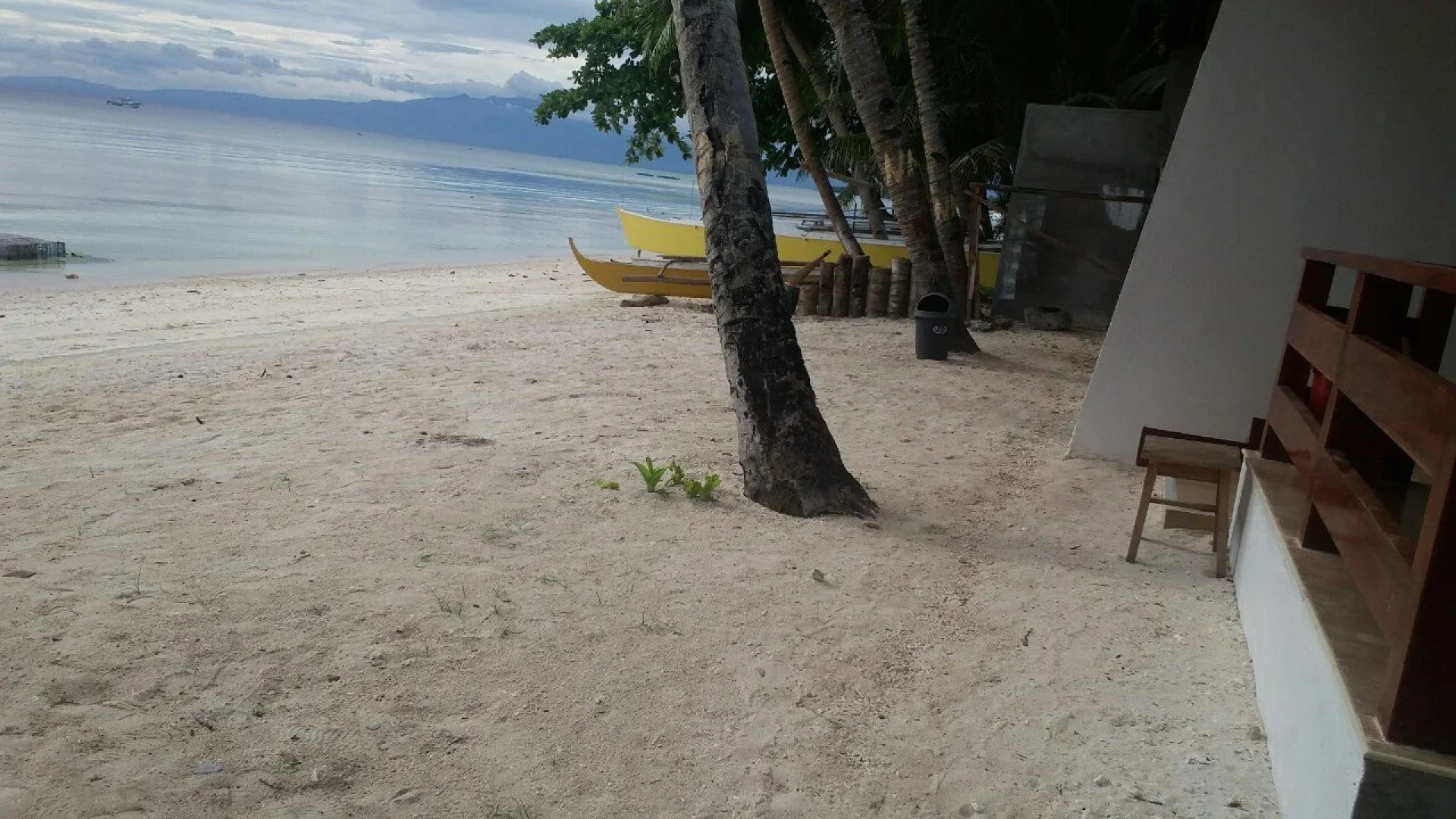 Palm Village Guesthouse