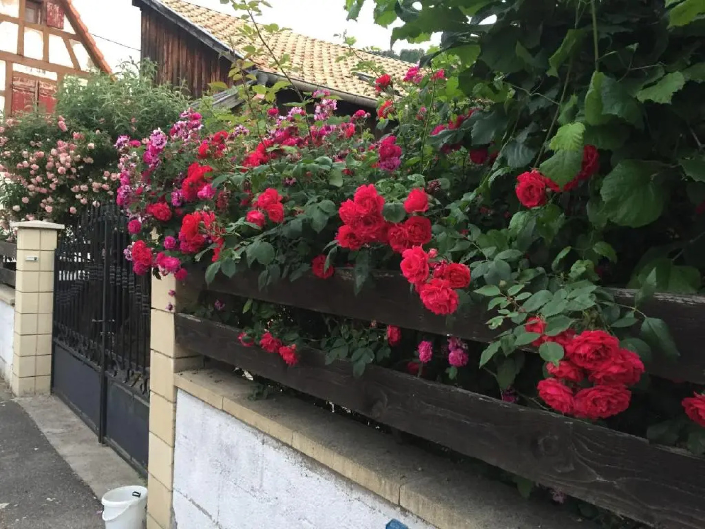 Appartement Spacieux Dans Joli Village Alsacien