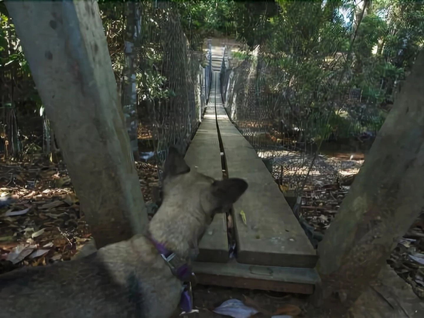 Chilverton Cottages & Restaurant