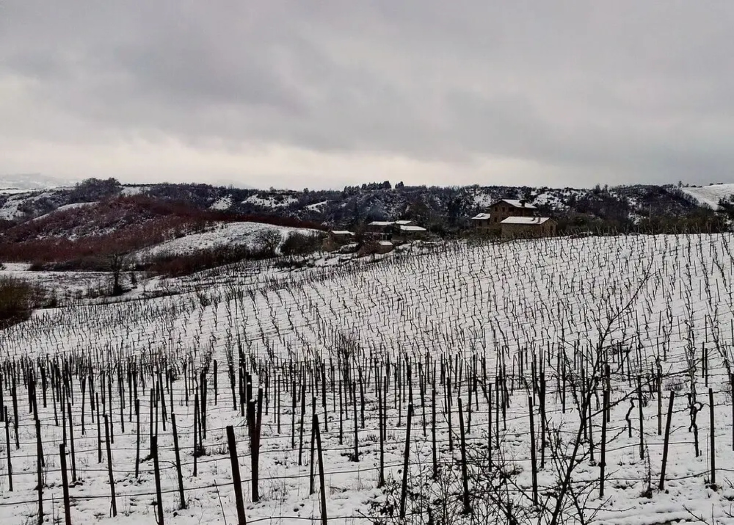 Agriturismo Le Vigne di Matteo