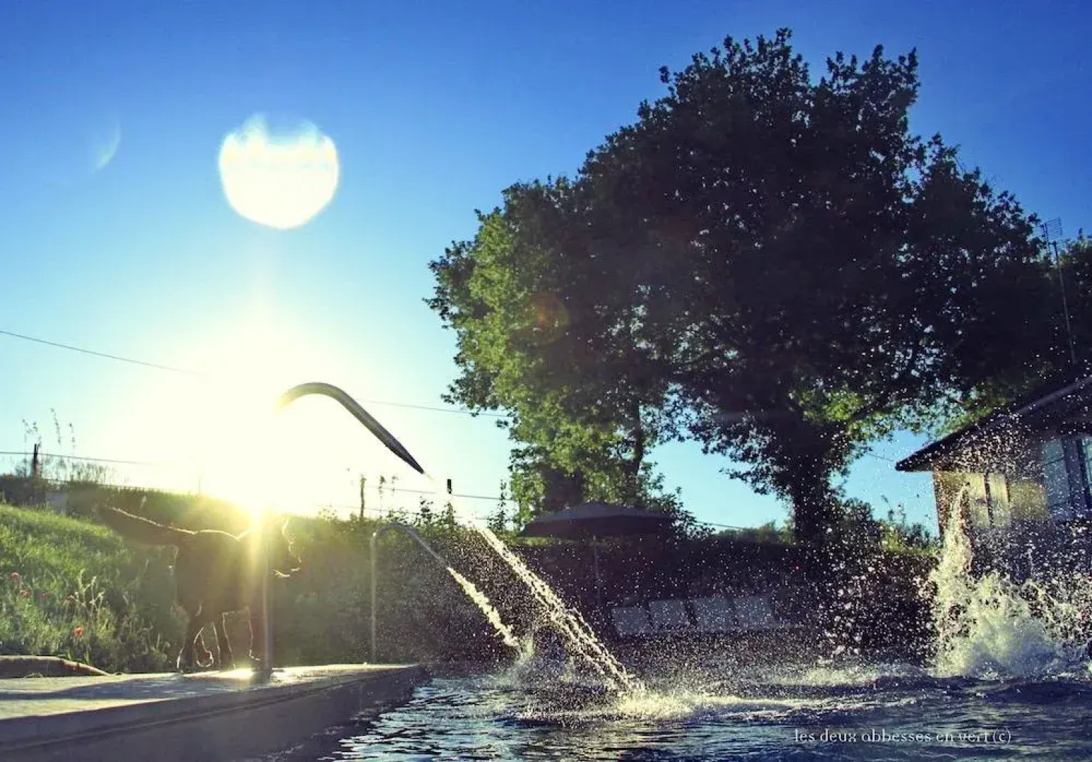 Les Deux Abbesses en Vert