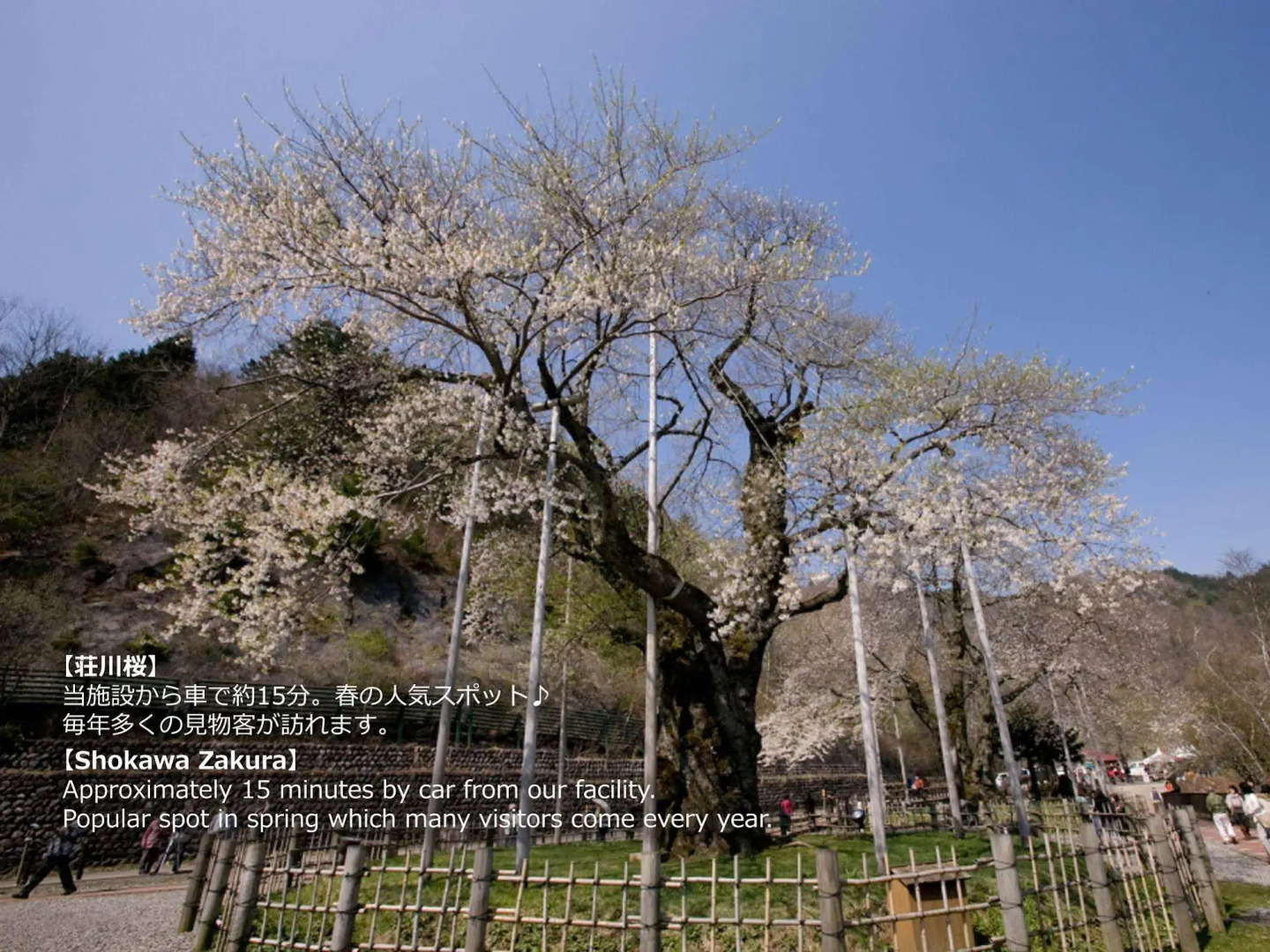 Resort Villa Takayama