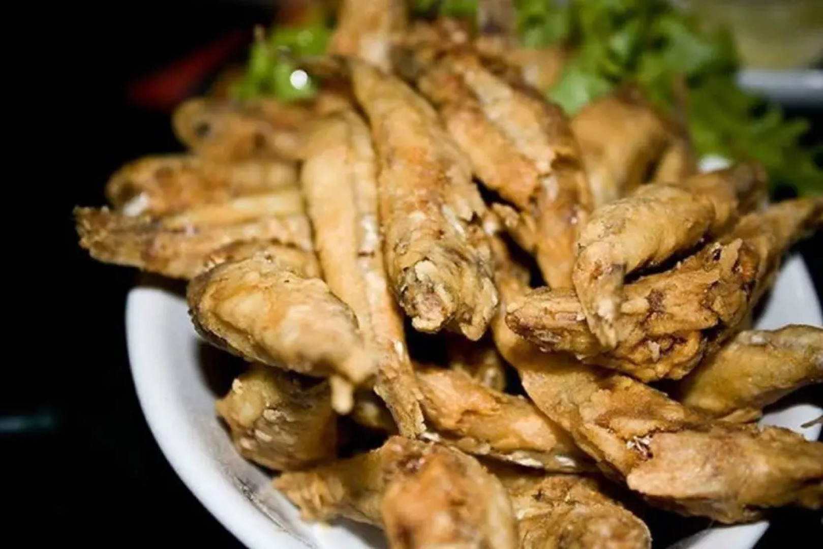 Camping e Pousada Paiol