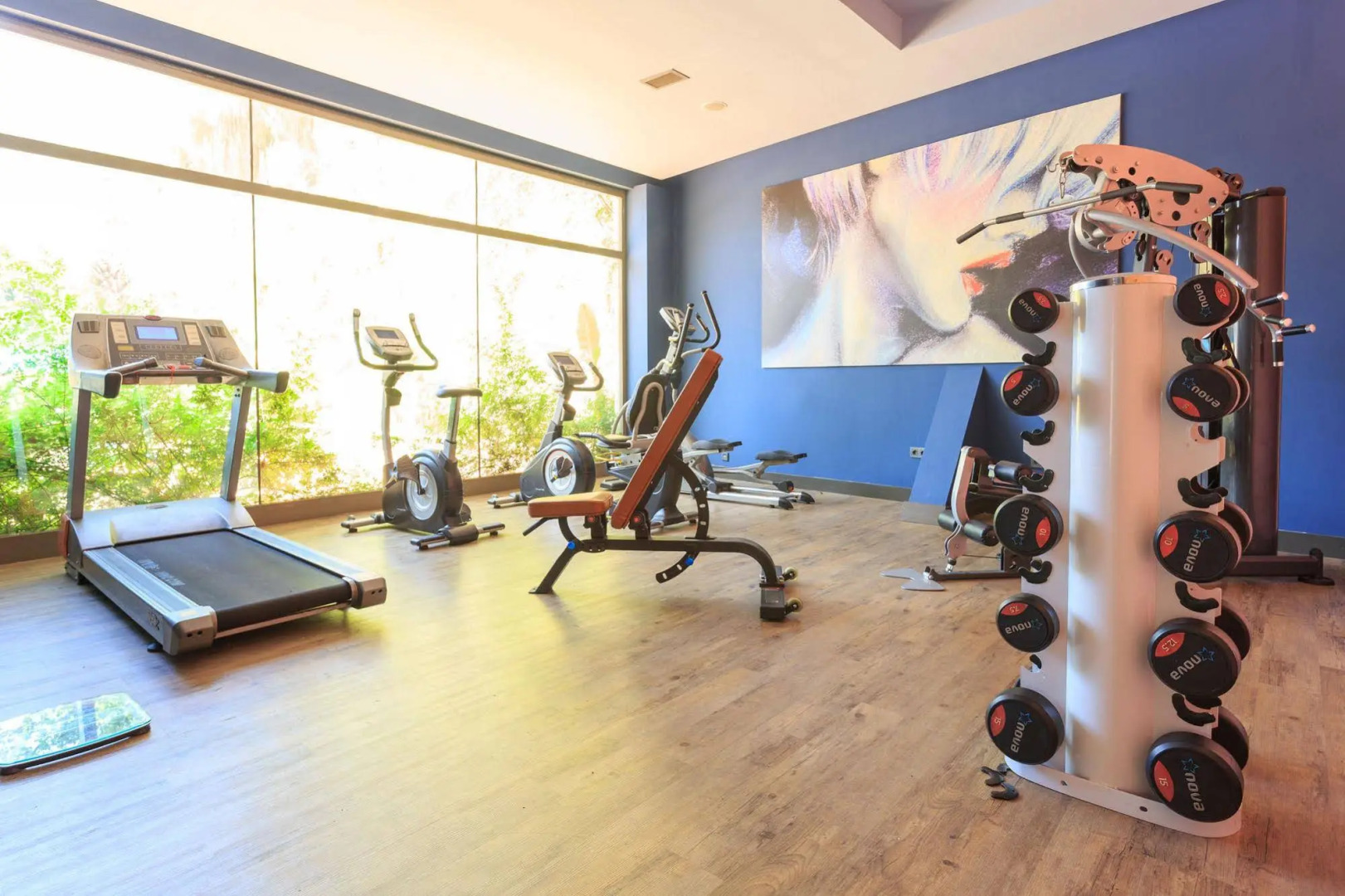 Flamingo Hotel & Spa - Pet Friendly