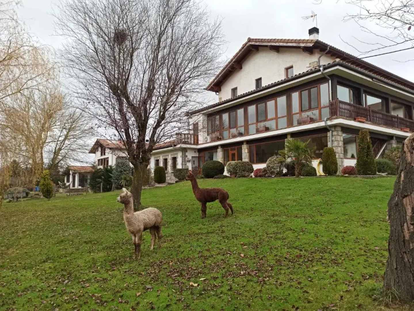 Bed and breakfast Flor de Vida