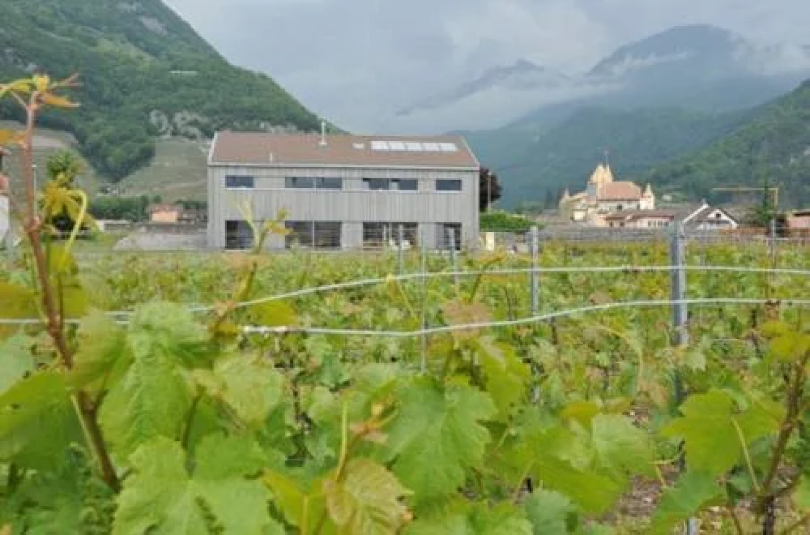 B&B Calm Comme à la Maison