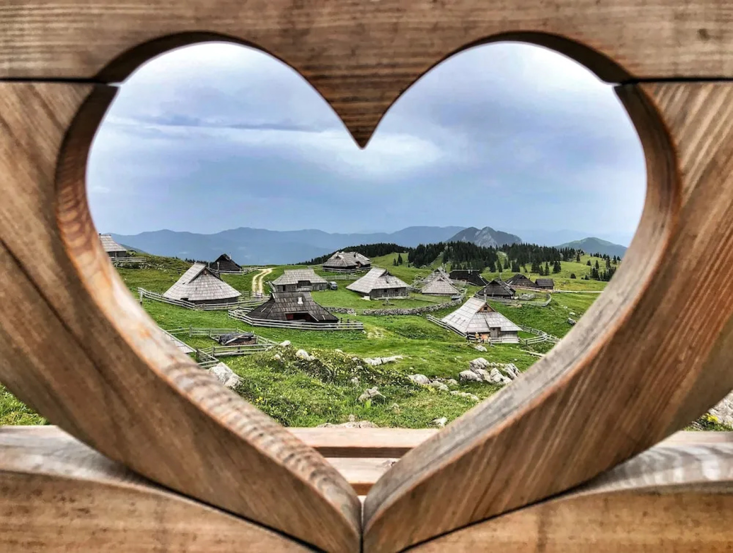 Koca Ojstrica - Velika planina